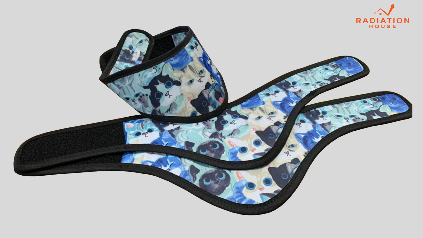 ปลอกคอ (2)