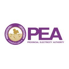 ไฟฟ้าภูมิภาค